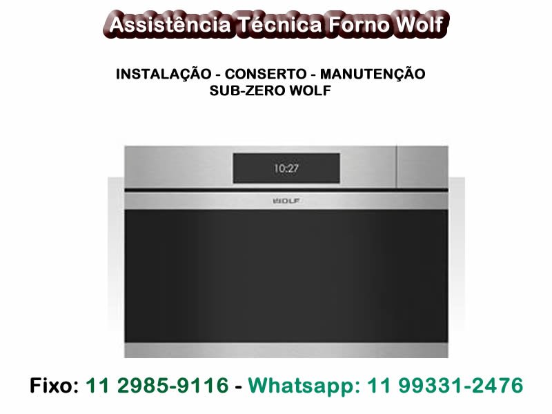 Assistencia-Tecnica-Forno-Wolf