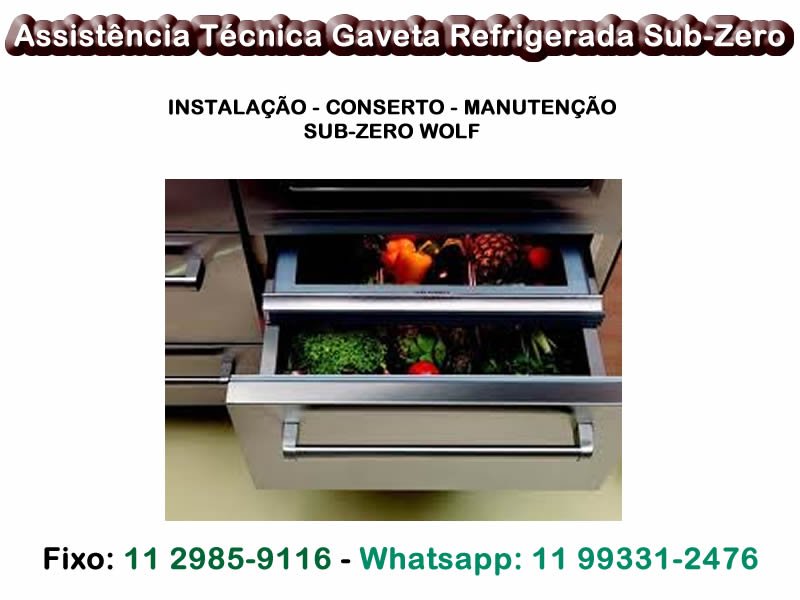 Assistência Técnica Gaveta Refrigerada Sub-Zero